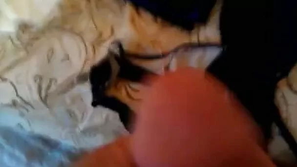 Jerking off on the stuff and underwear of my teen girlfriend