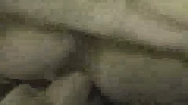 Closeup amateur blowjob and pussy penetration on POV vid