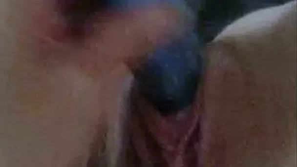 The masturbation adventures of my pussy taped on cam
