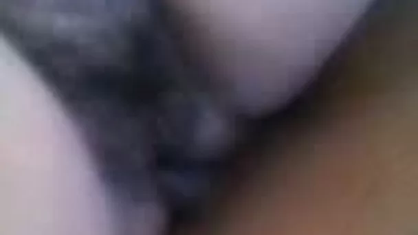 Risky penetration of my fat wife's filthy hairy twat