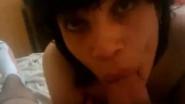 Dark-haired harlot sucks my dick with great enthusiasm