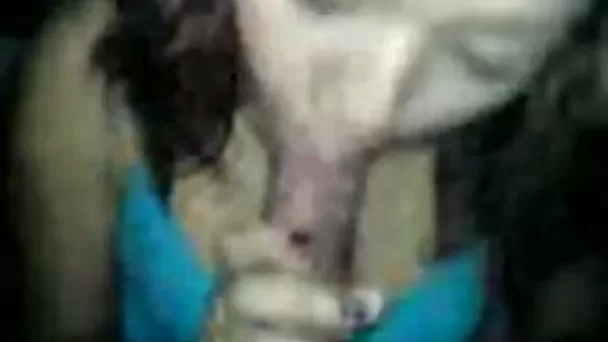 Petite Asian girlfriend gives me blowjob on home POV video