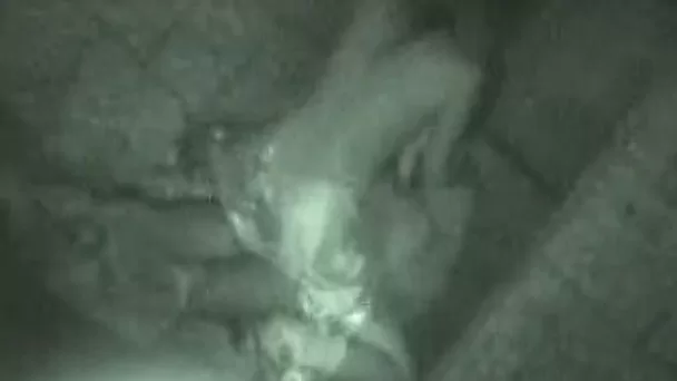 Riding a large cock of her BF at night in her bedroom