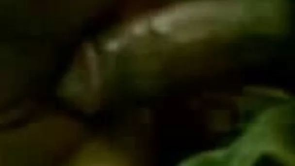 I drill my girlfriend's pussy deep in close up POV sex tape