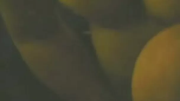 Kinky college girlfriend sucks my cock in the pool cabin