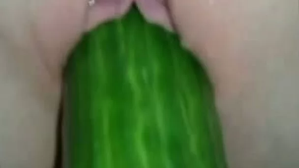 Pleasing my petite white girlfriend with a cucumber