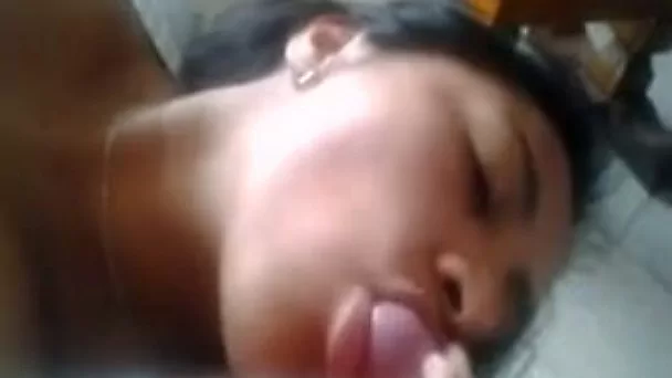 Exotic slut pleases me with a blowjob and a titjob