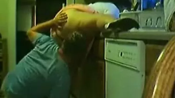 Chubby housewife gets her cunt licked and fucked in the kitchen