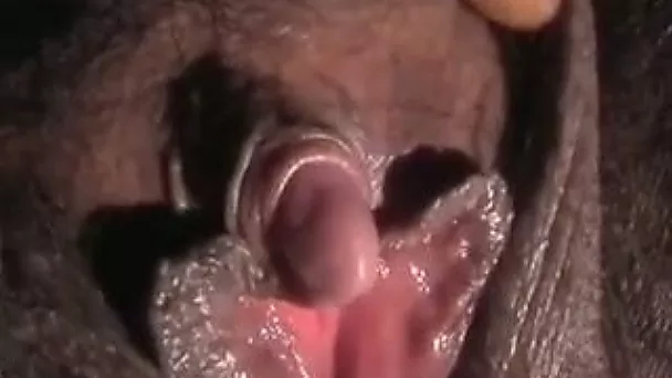 My chubby black spouse lets me play with her big clit
