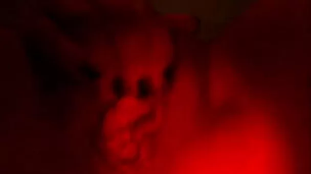 I really love to masturbate before going to bed when I am home alone