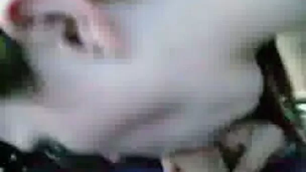 Prurient nympho Nicole is giving me a perfect blowjob in my car