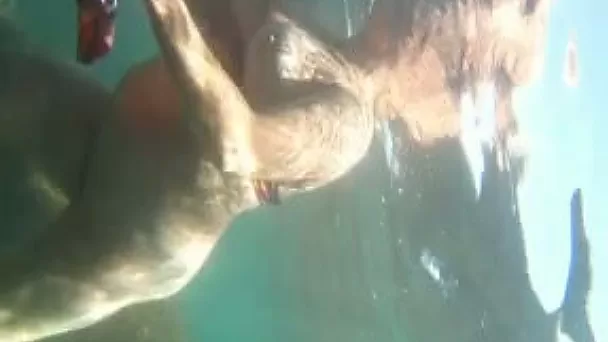 Amazing underwater clip with me and my wife banging in a pool