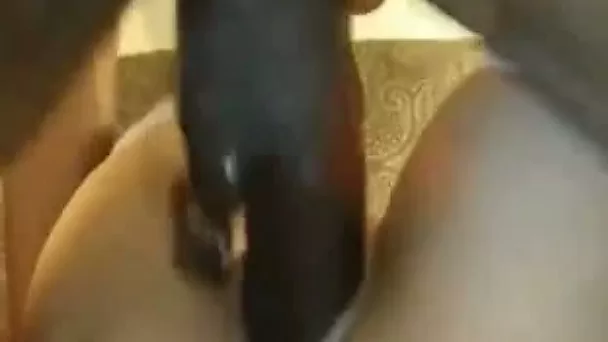 Lustful Latina hoochie wants me to bang her tight fuckhole with my BBC