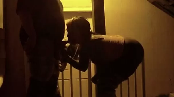 A kinky prostitute sucks my dick and enjoys rear pounding