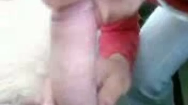 Petite Latina coed gives me nice blowjob before mish quickie
