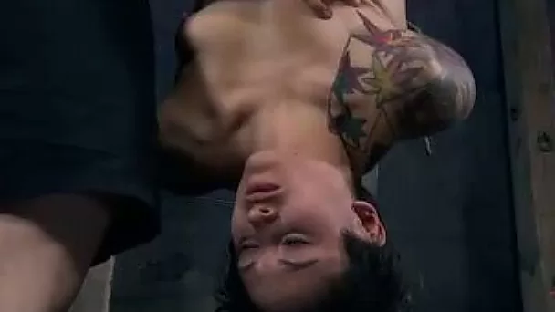 Salacious nympho with tattoos is hanging upside down in the dungeon