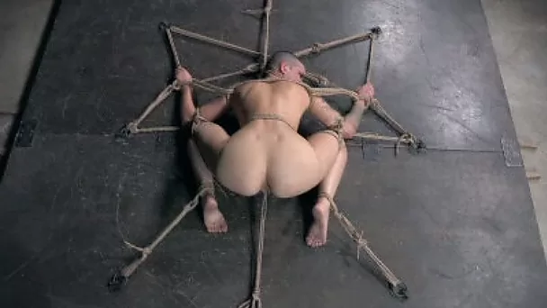 Bounded hottie with no hair on her head is restrained by her master