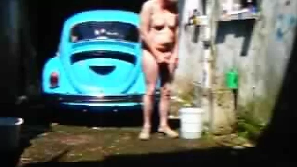 horny pig in front of car