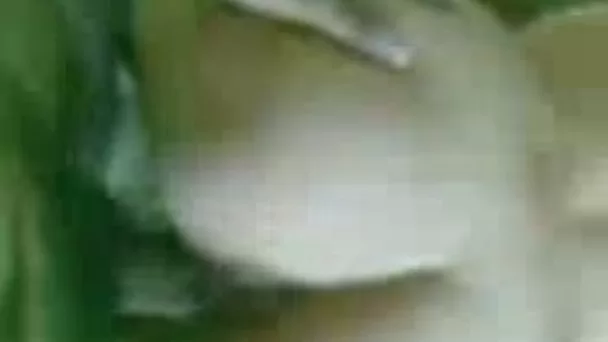 Hardcore doggystyle fucking my big ass brunette coed