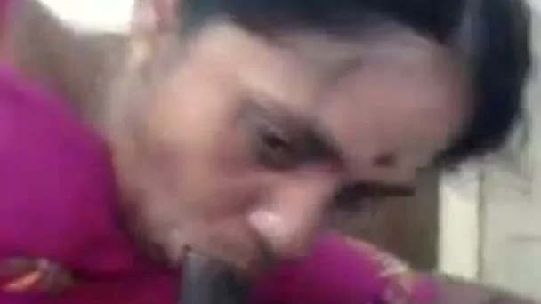 My Indian wife sucks my schlong before taking it in her twat