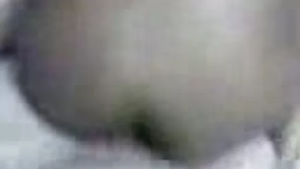 Tight black hooker from Senegal lets me fuck her dirty butthole