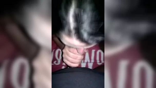 Cute shy amateur brunette chick eating my dick on POV tape
