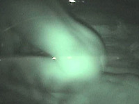 Night vision cam caught naughty amateur Judy riding cock on top