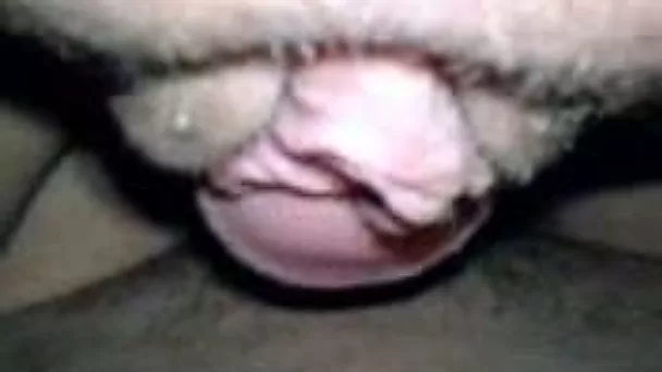 Lustful 20 yo girlfriend rubs her puffy pussy all over my fat cock