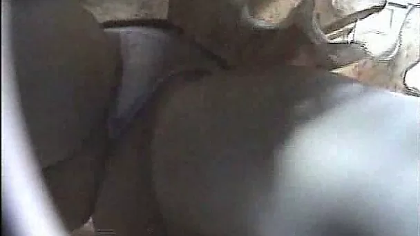 MILF wife exposes her upskirt at my request  - white cotton undies