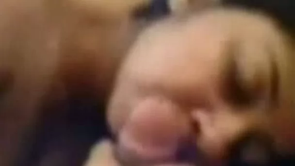 Amazing blowjob from busty girlfriend when she is in a good mood