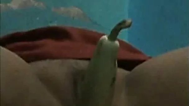 Horny man sticks vegetables in the pussy of his bhadhi wife