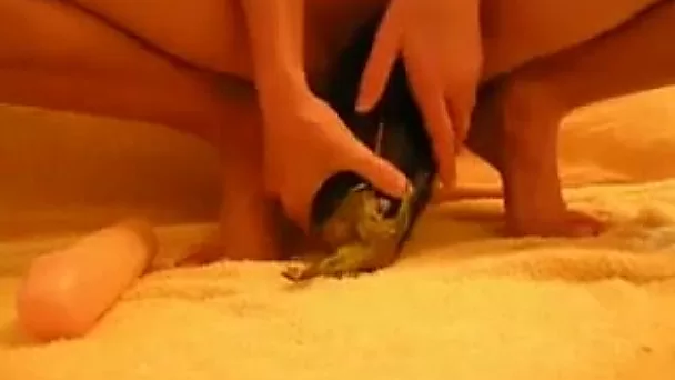 Dirty-minded wild and perverted webcam bitch rode egg plant