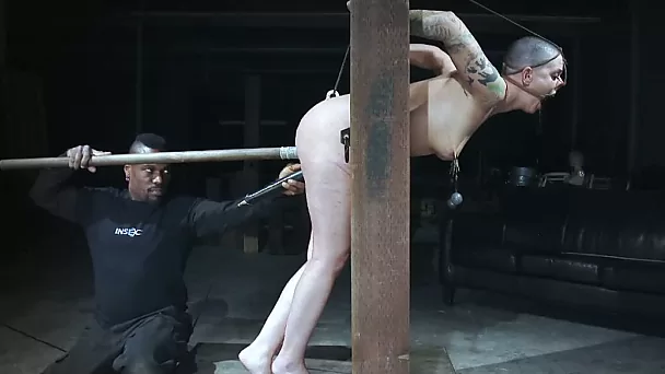 Shaved white chick fixed and stretched on the gigantic pillory