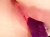 Amateur slutty chick teased her pink cunt with purple dildo with passion