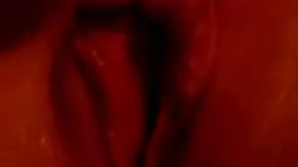 Cock hardening closeup video of my wife petting her pussy with dildo
