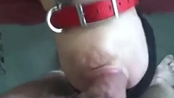 Blindfolded and tied up amateur chubby white wife is mouth fucked