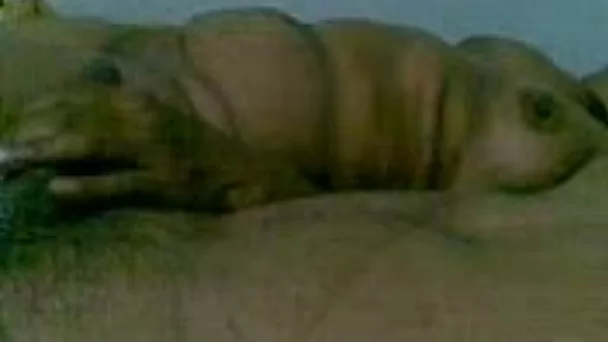 My nasty wife lies next to me and gives me handjob