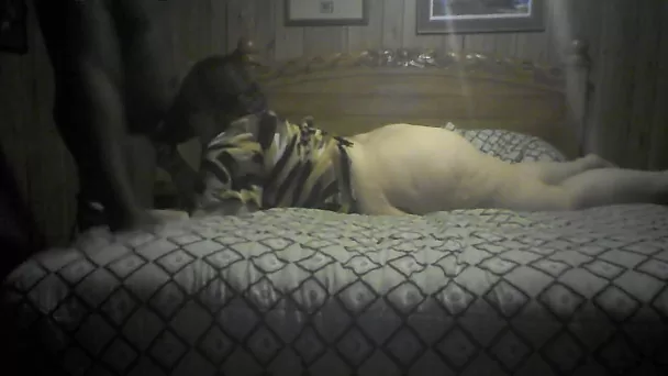 Thirsty white granny sucking my cousin's BBC deepthroat