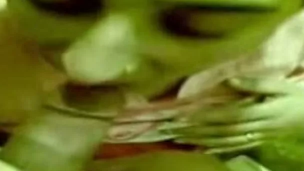 Just a shy Indian wife giving blowjob to her husband
