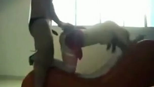 Naturally perverted cheap whore provided my friend with BJ and nice ride