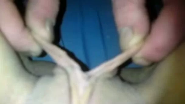 Closeup view of my big cock penetrating my wife's cunt mish style