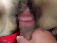 My hard boner cock penetrates natural hairy cunt of real bitch