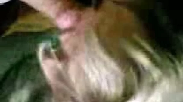 Young blonde steet hooker gives me some head at my crib