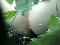 A hiding voyeur films pale skin plump booty of a girl in the bushes