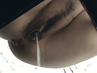 Hairy pussy of a curvaceous white chick filmed in the dirty toilet