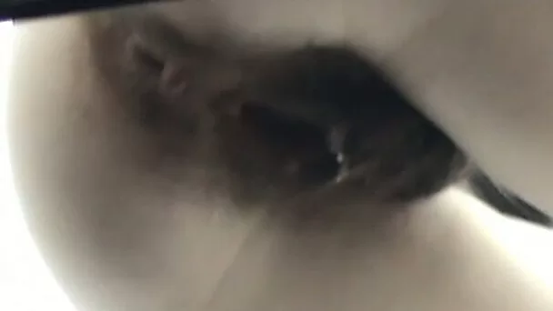 Slender chick with extremely hairy dirty pussy pisses in the toilet