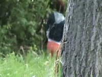 Redhead amateur white chick in the woods pisses behind the tree