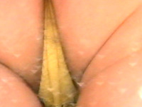 Sweet white booty in yellow panties filmed closeup