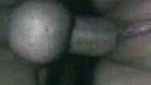 Naughty Latina trollop sucks my rock hard dick greedily like crazy