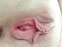 Close-up video of a huge cock penetrating a pink pussy